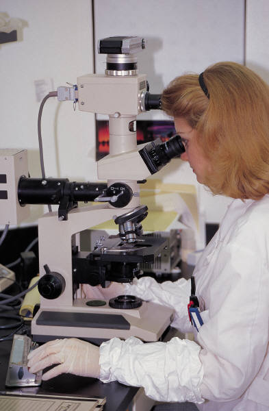 Investigadora observando por un microscopio.